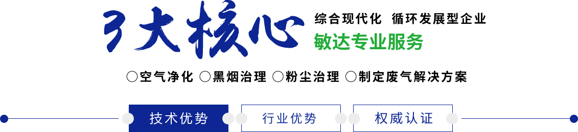 男人艹女人逼网站国产敏达环保科技（嘉兴）有限公司